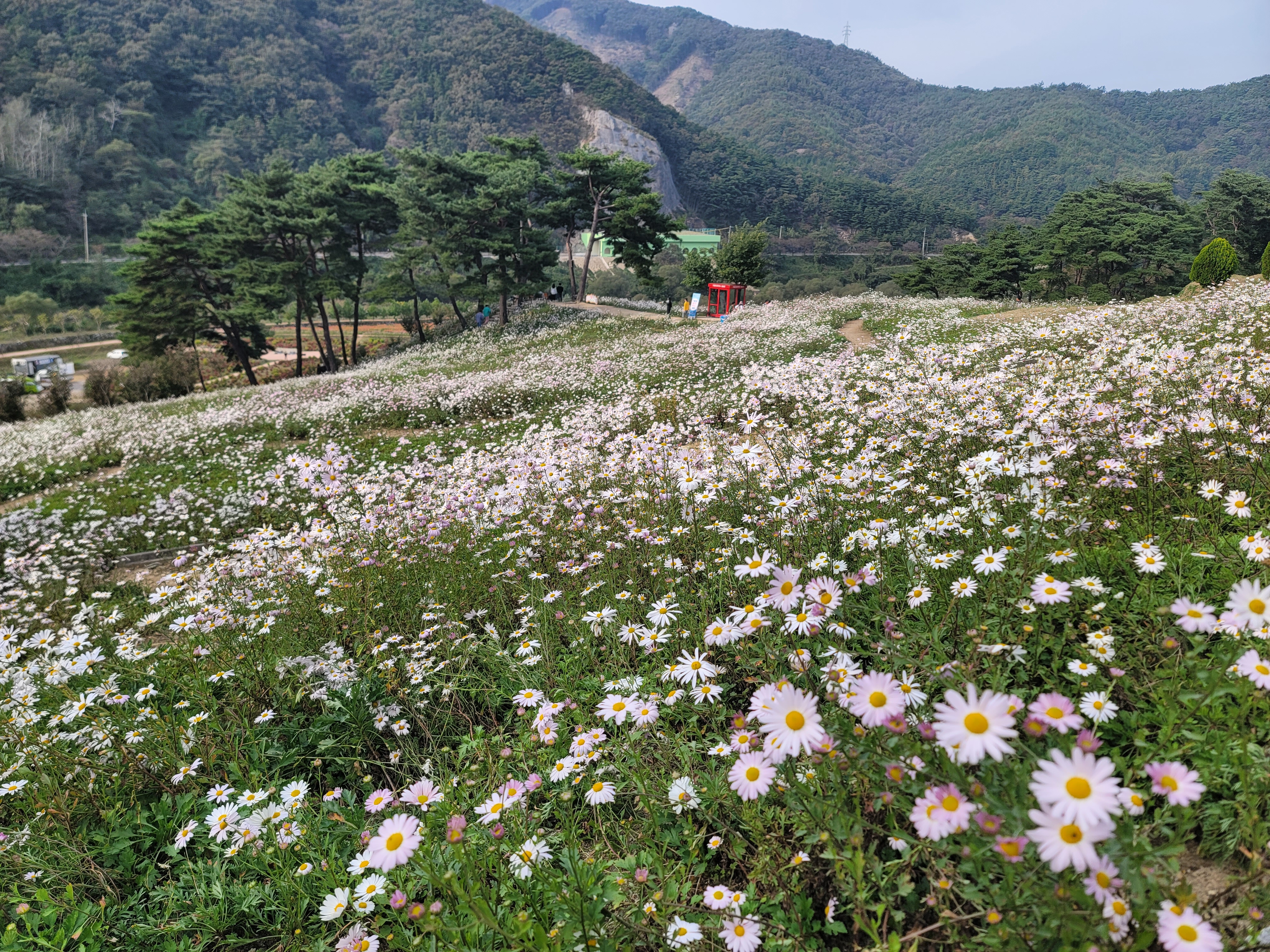 정읍 가볼만한곳 베스트10
