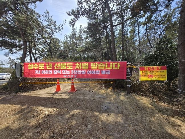 산불 내면 어떤 처벌 받을까? 형벌부터 손해배상까지 반드시 알아야 할 책임 정리