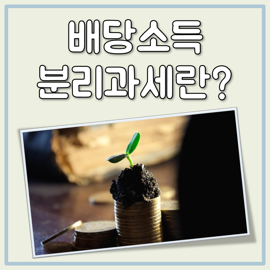배당소득 분리과세란