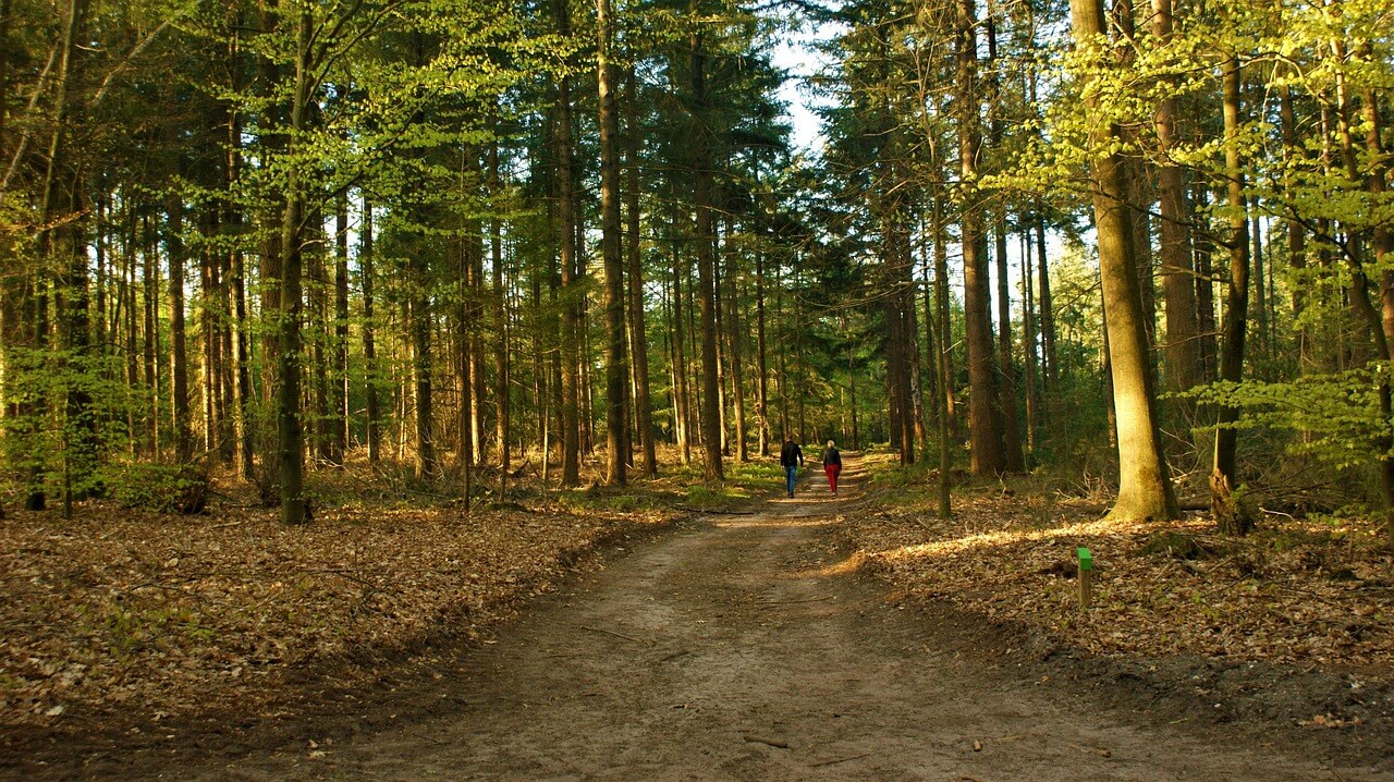 6월 주말 나들이 추천! 덜 붐비는 감성 여행지 Best 5&amp;#44; 현지인 강추