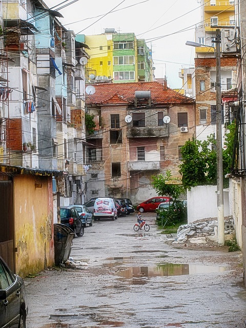 2024년 청년 부동산 중개보수 및 이사비 지원사업