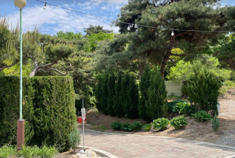 파이브이모션 캠핑장 B12