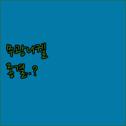 호텔식 미니멀 욕실을 위한 무광니켈 ..