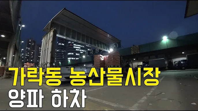 가락동 농산물 경매시세 실시간 확인 완벽 농산물 정보_3