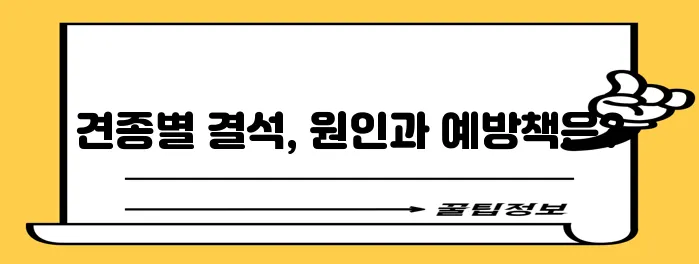 강아지 결석 품종별 특징을 꼼꼼히 알아봐야 합니다.