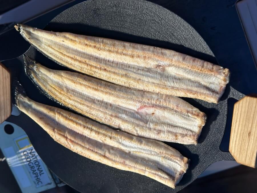 장어효능