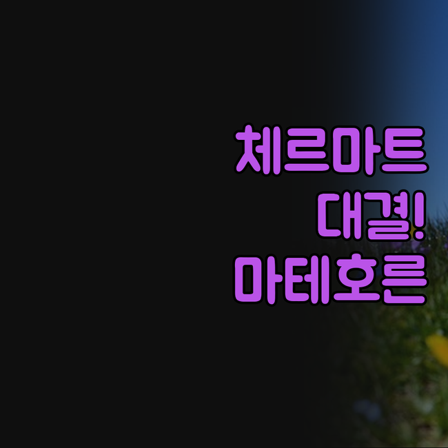 슈바이처호프 체르마트 체르보 마운틴 ..