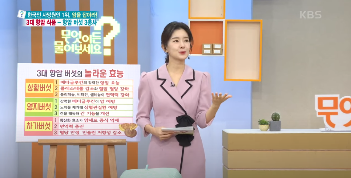 3대 항암버섯 3총사: 상황버섯 영지버석 차가버섯 효능과 복용법