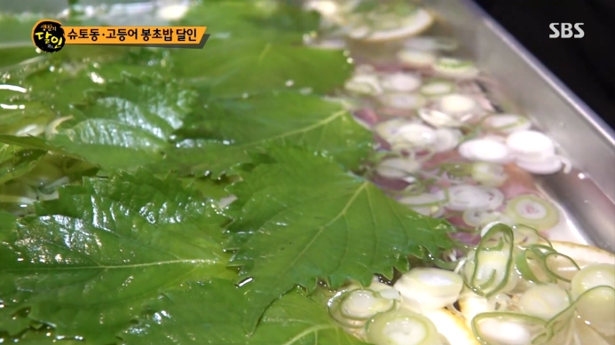 시소잎