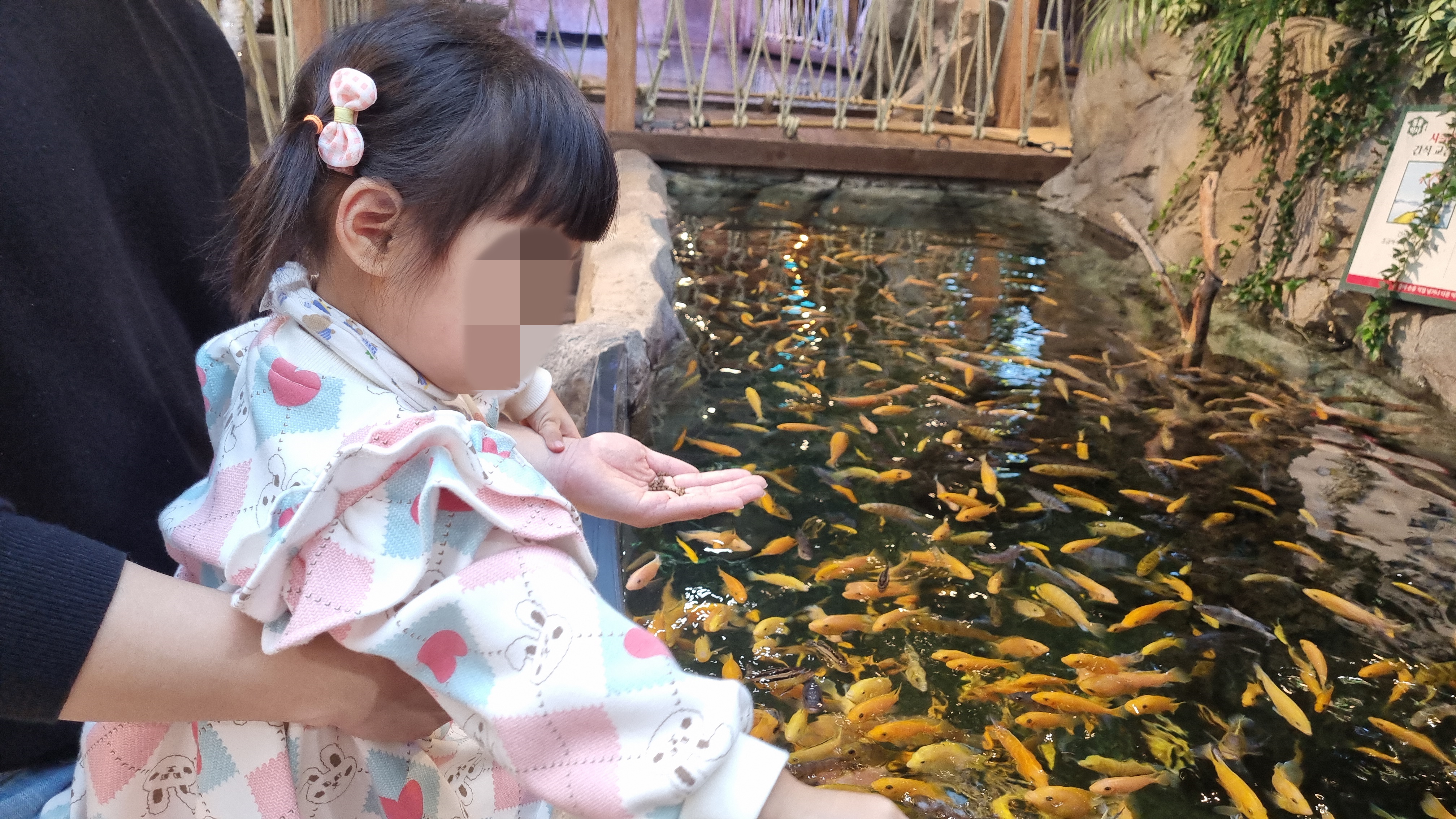 물고기밥주기 체험