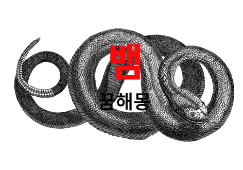 꿈에 뱀이 나오는 꿈해몽은 길몽입니다. ( 뱀꿈 무료 해몽 풀이 )
