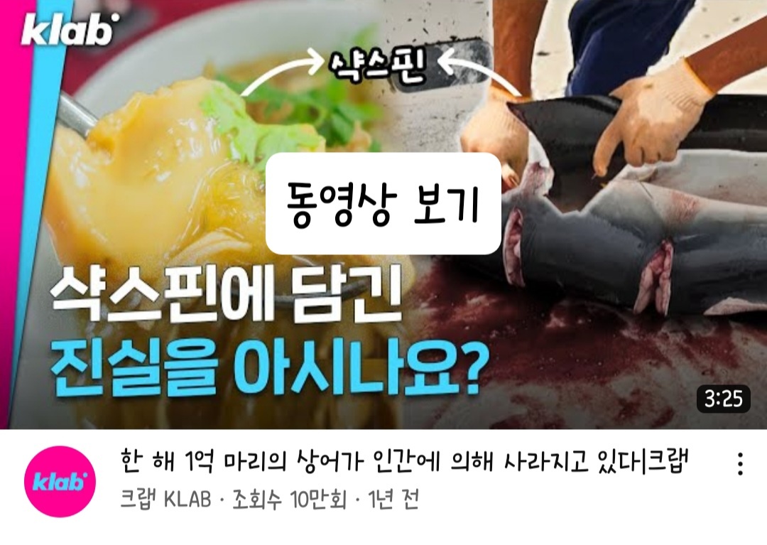 샥스핀