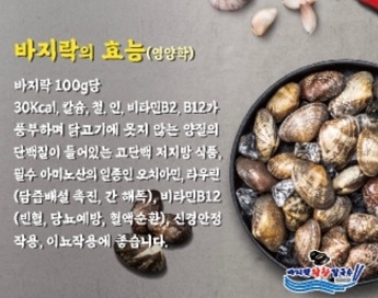 바지락효능