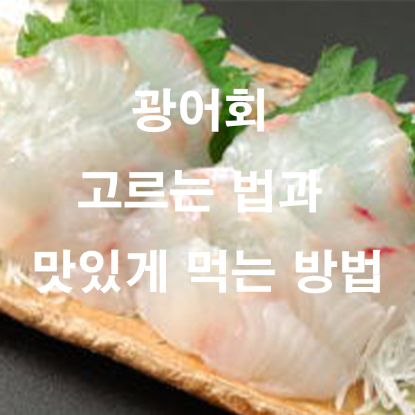광어회 고르는 법과 맛있게 먹는 방법