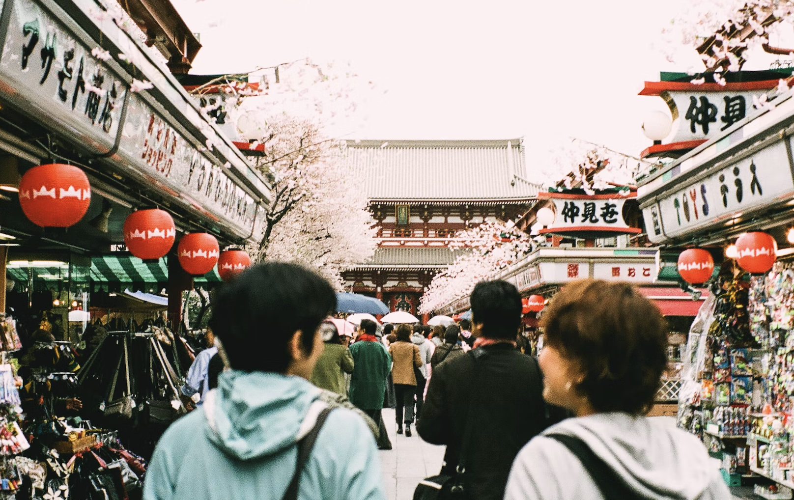 도쿄 여행 베스트