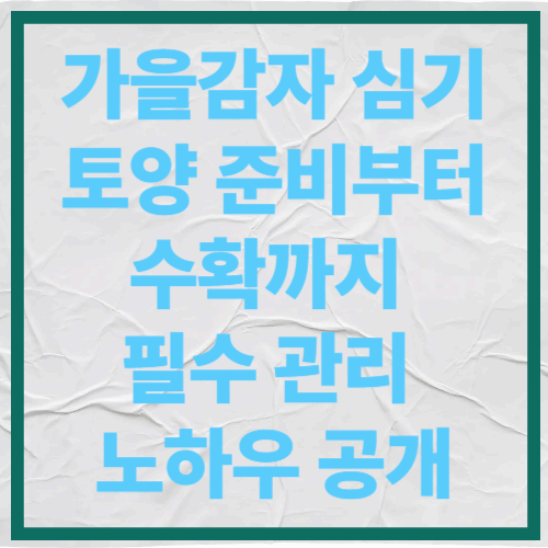 가을감자 심기, 토양 준비부터 수확까지 필수 관리 노하우 공개