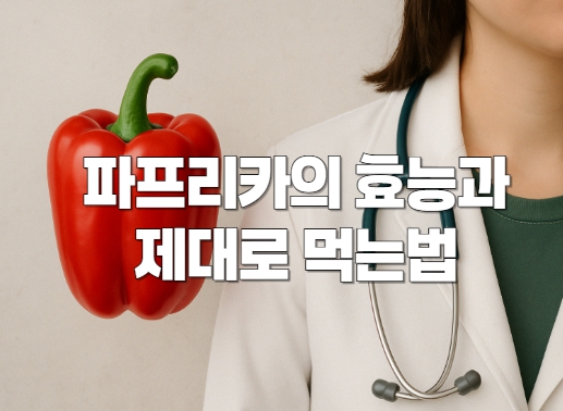 파프리카의 효능과 제대로 먹는법