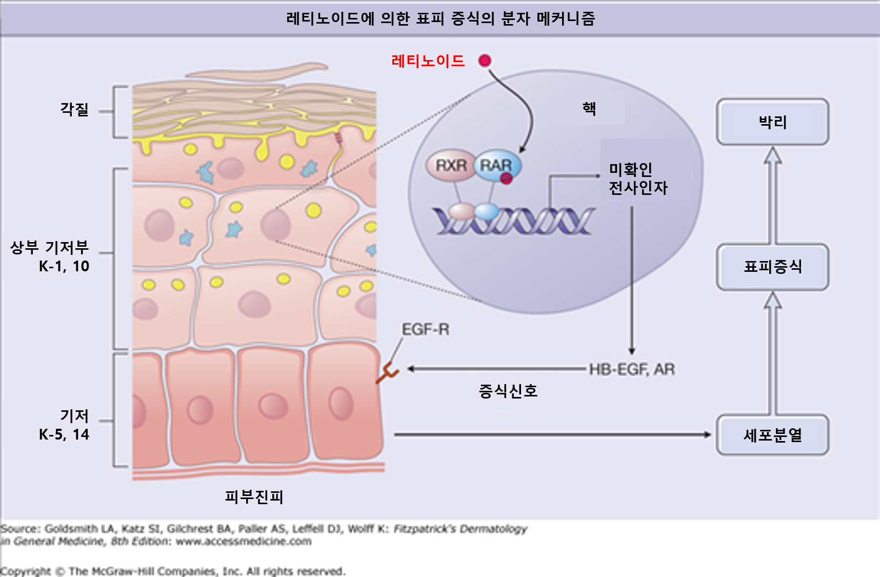 안티에이징스킨케어
