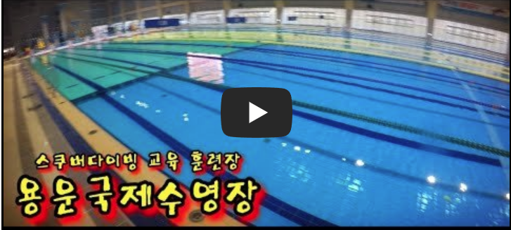 🏊&zwj;♂️ 대전 실내수영장 총정리 (홈페이지, 수강신청 방법, 자유수영장 &amp; 오리발&middot;킥판 사용법, 유아풀, 주말&middot;공휴일 자유수영, 어린이 개인레슨)