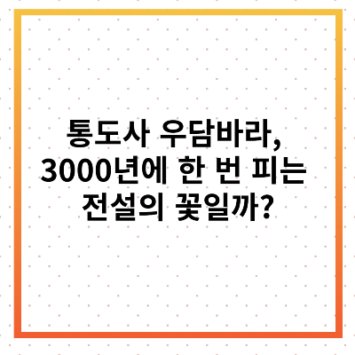 통도사 우담바라