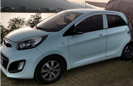 보험 자동차보험 자동차