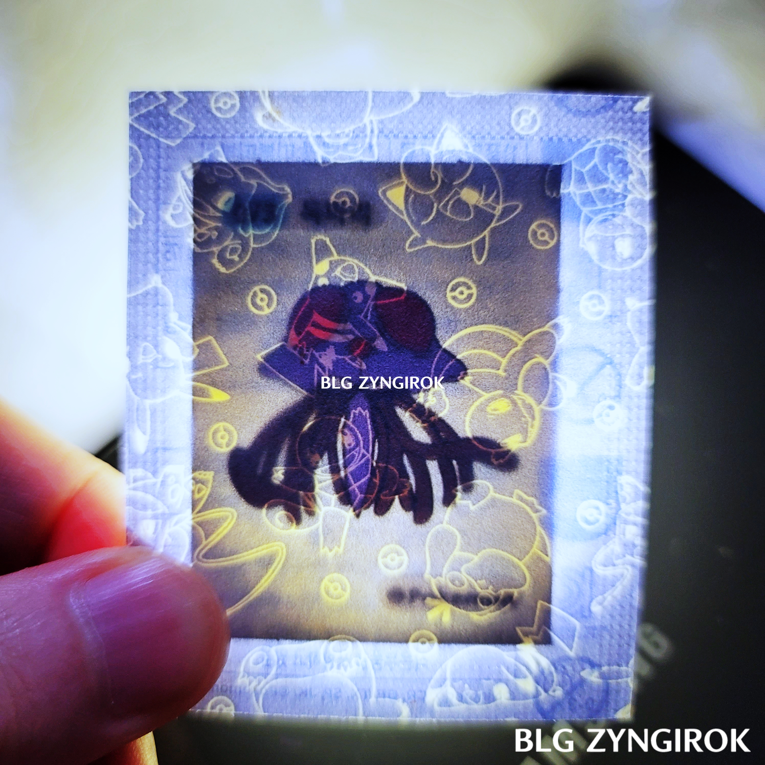 띠부띠부씰-독파리를-들고있다.