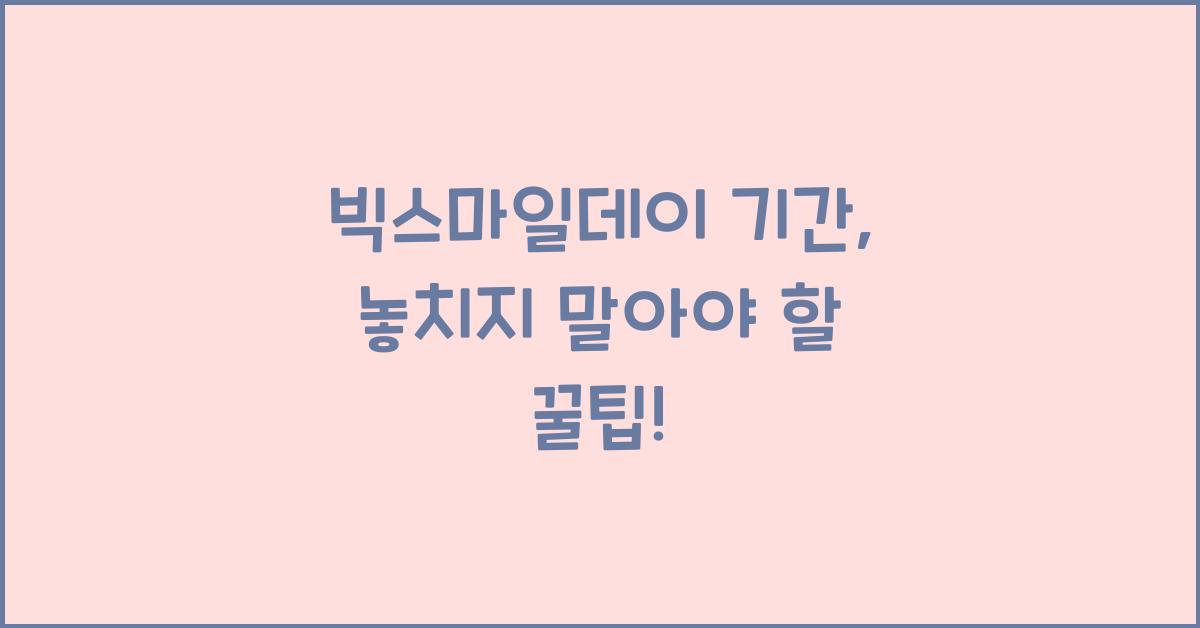 빅스마일데이 기간