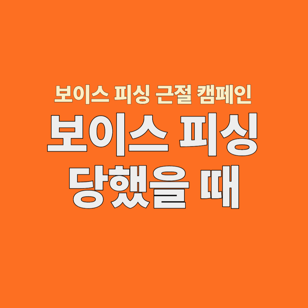 보이스 피싱 당했을 때 설명