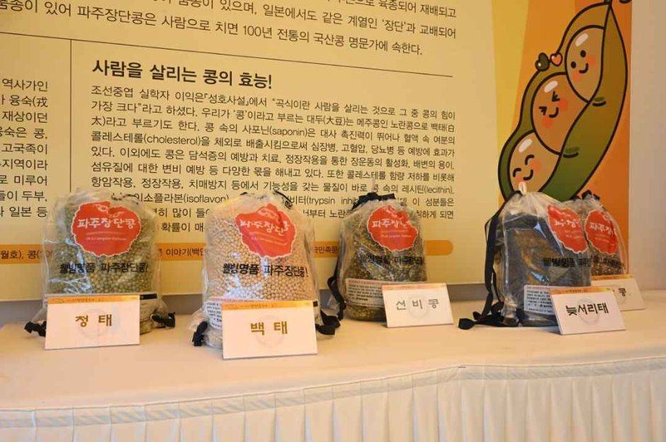 파주 장단콩 종류