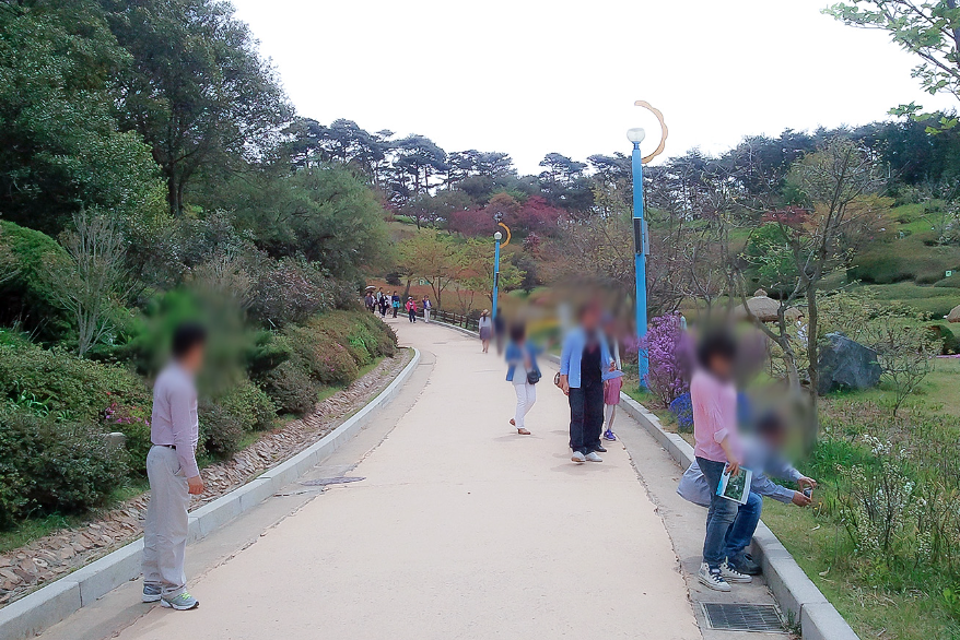 태안 튤립축제