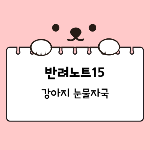 강아지 눈물자국 이유와 치료 방법