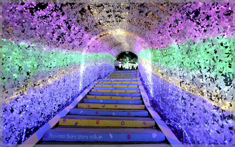 청도 프로방스 빛축제_1