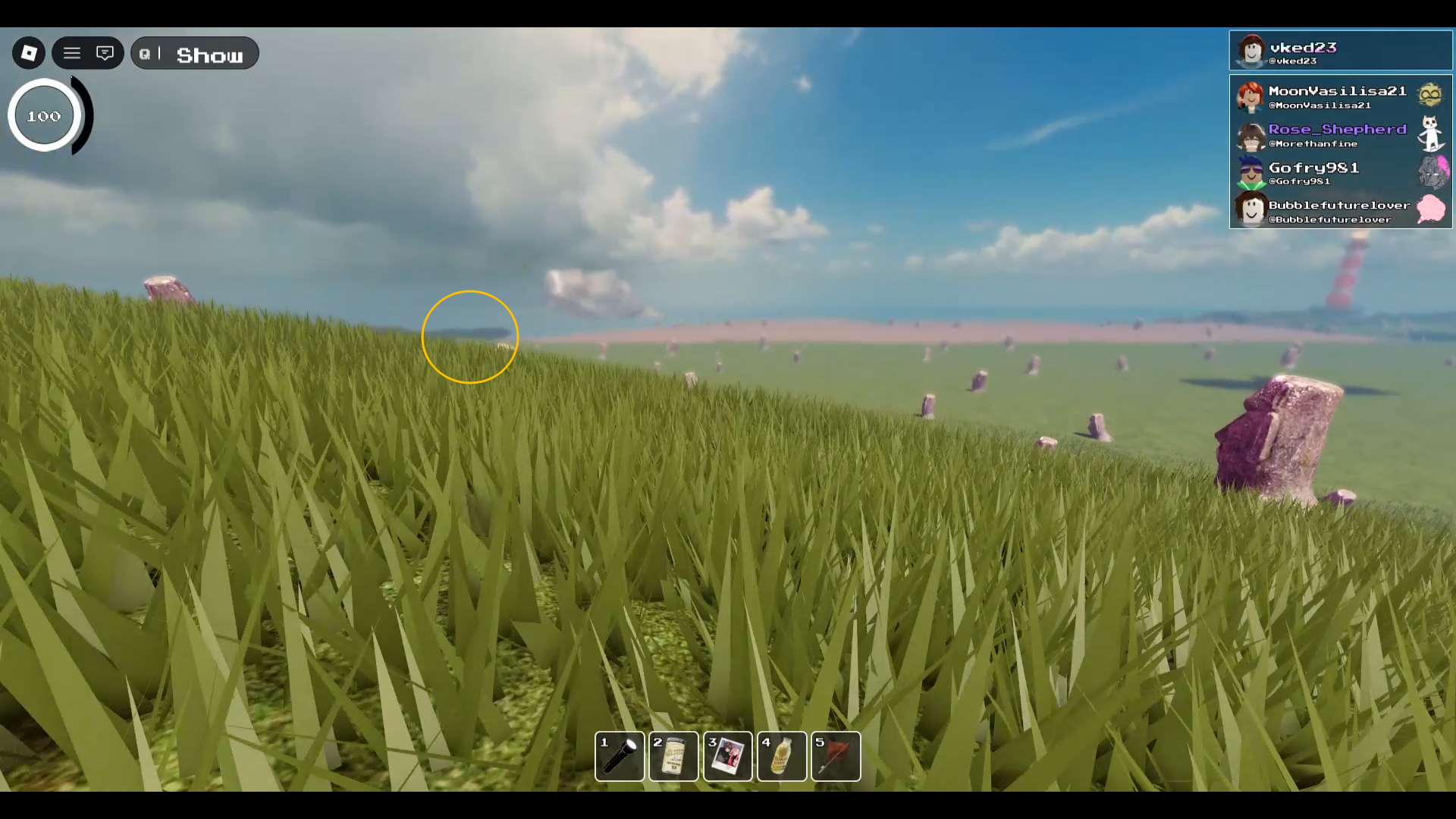 Roblox Backrooms Redacted Level Moai Beach Rock Location