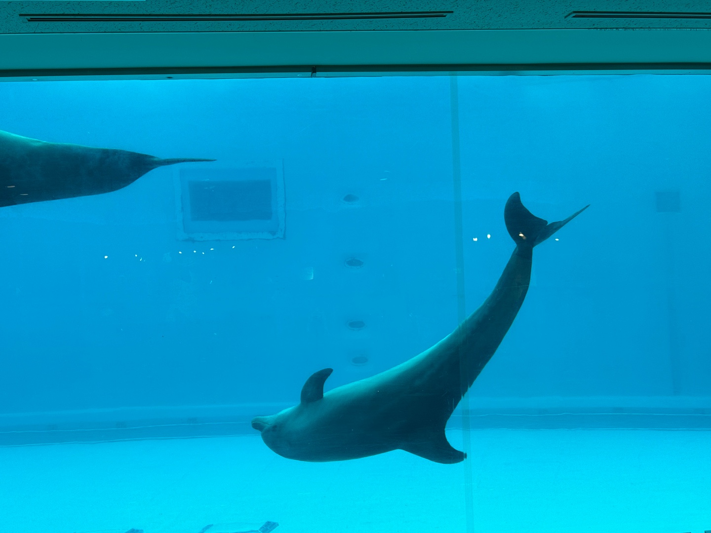 후쿠오카마린월드 10