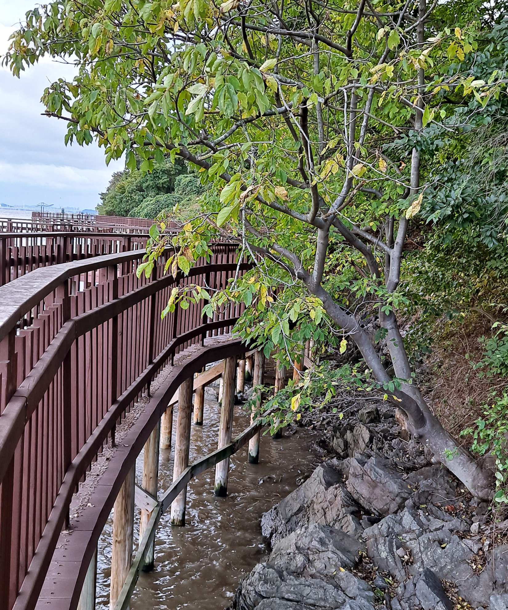 해안산책로 아랫부분