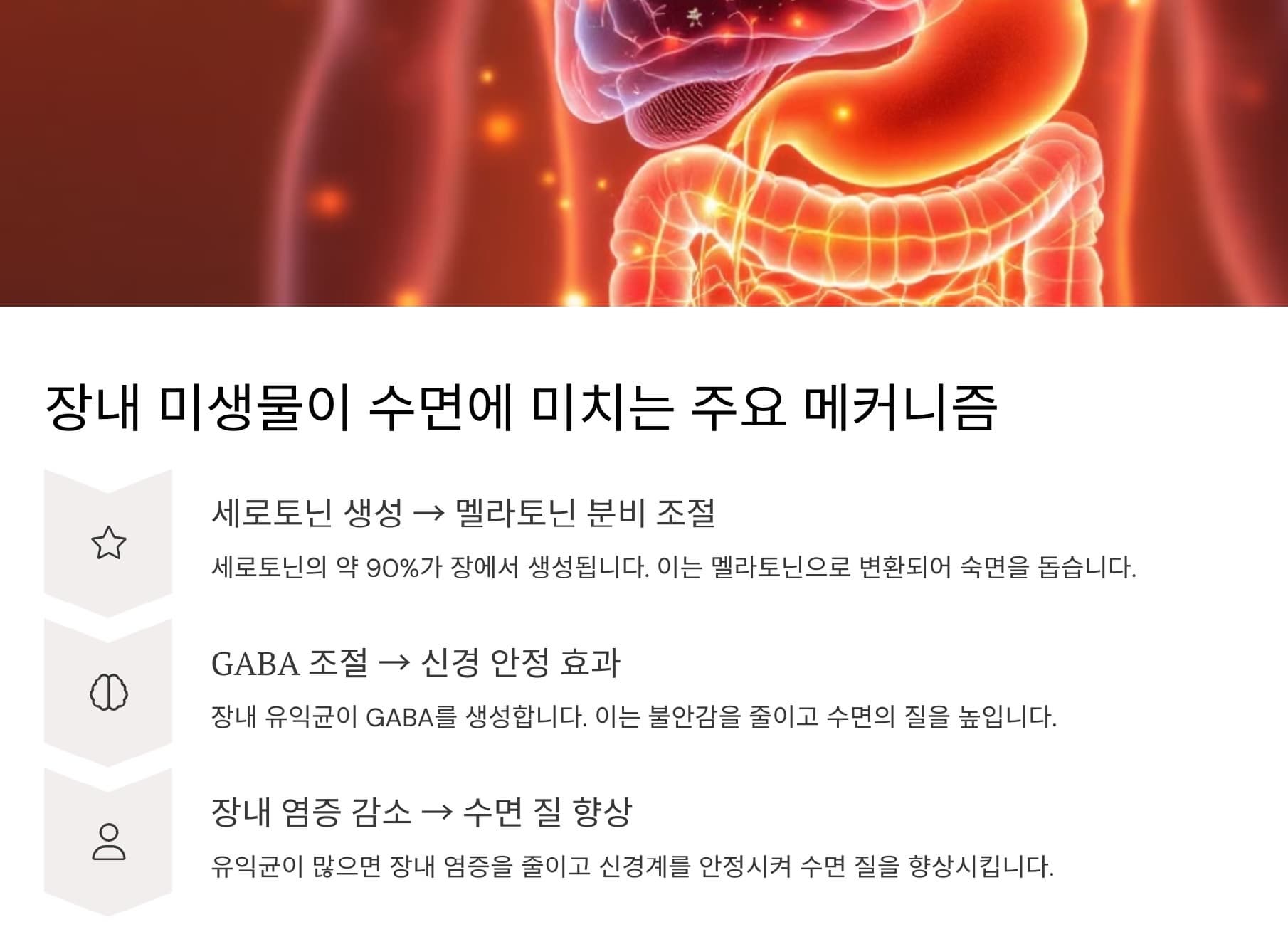장내미생물이 수면에 미치는 주요 메케니즘을 정리한 다이어그램