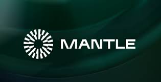 맨틀 코인