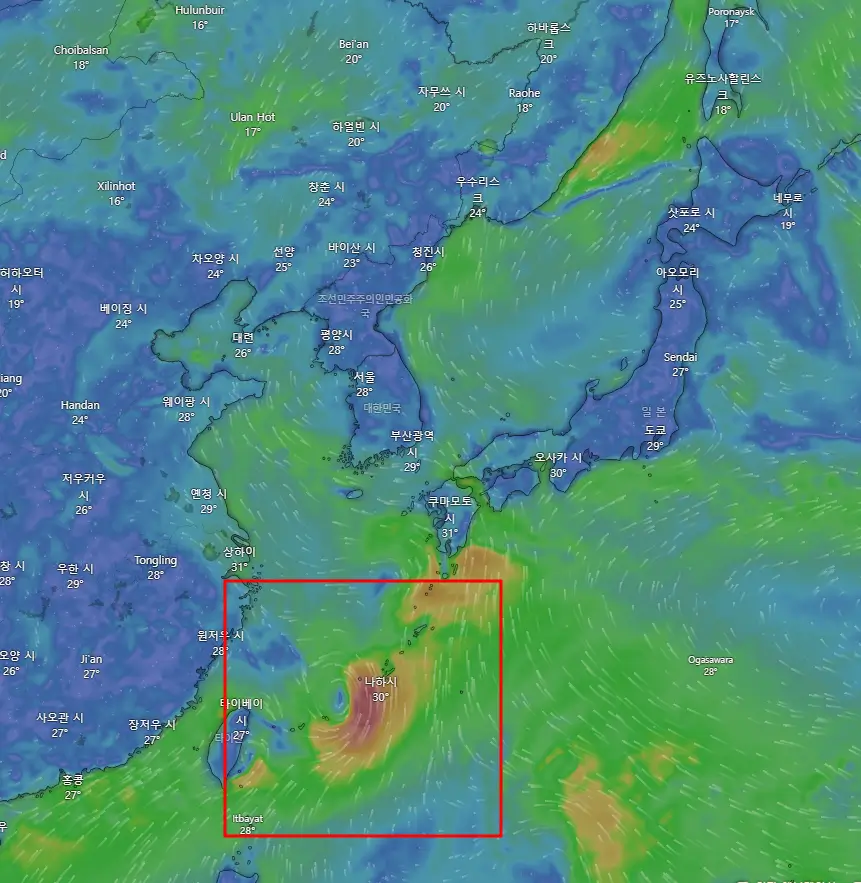 windy 실시간 위성영상