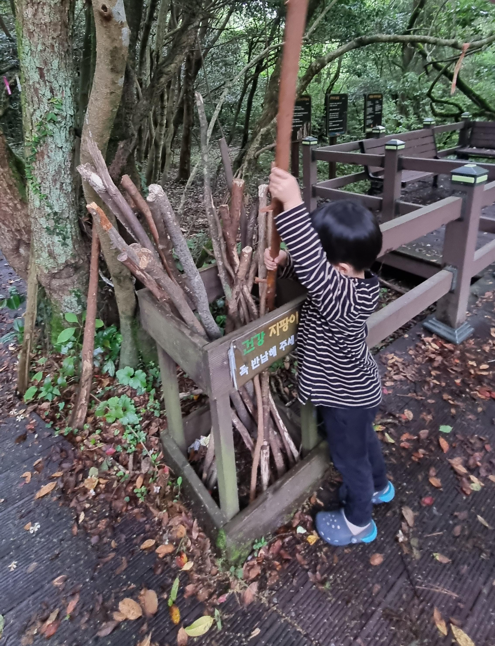 제주 추억의 숲길