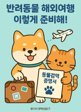반려동물과 해외여행 기내 직항 펫 전용 준비와 절차_25