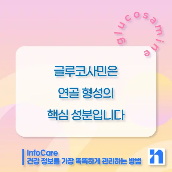 글루코사민 효능, 복용법, 주의사항