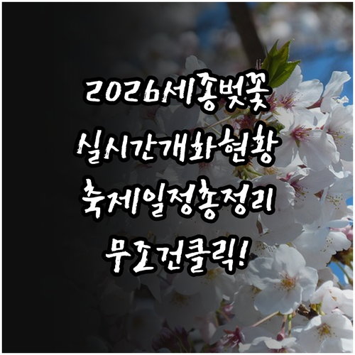 2026 세종 벚꽃 축제 일정과 실시..