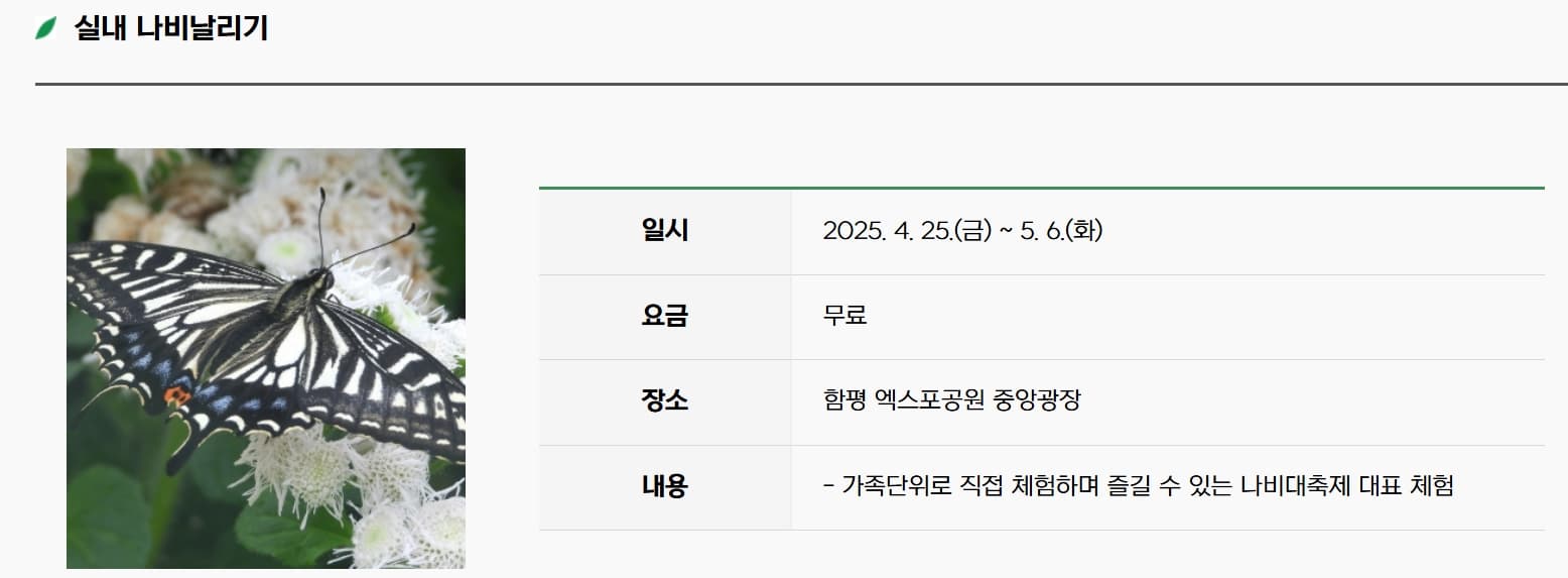 [4월 축제]2025 함평나비대축제｜일정, 기간, 입장권 예매 할인, 입장권 예약 이벤트, 공연, 체험프로그램 총정리