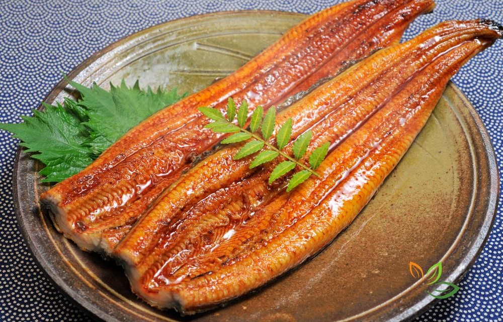 여름철 중년 보양식 장어구이 - 비타민과 오메가3가 풍부한 스태미나 충전 건강음식, 체력보강 효과 via canva