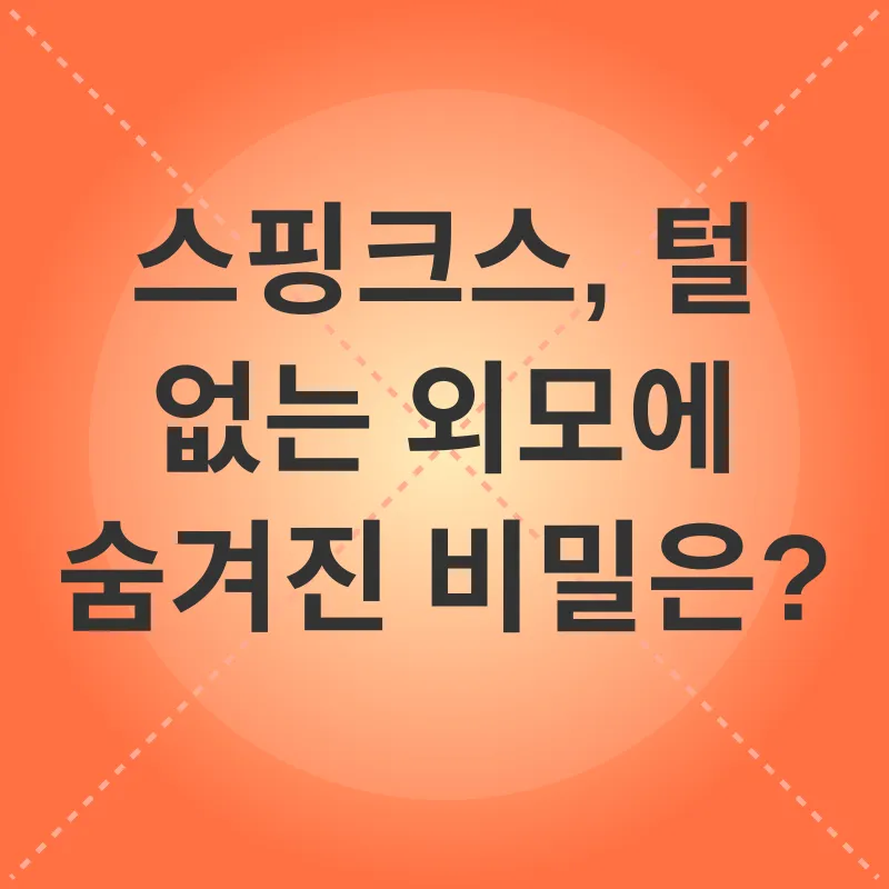 고양이 의사소통_2