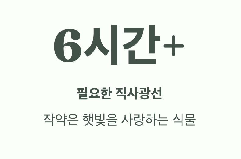 원인 셋: 햇빛 부족, 광합성 실패