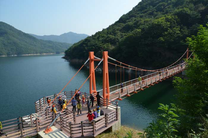 충주호 벚꽃길 기차 여행 벚꽃 명소 개화 시기 축제 충주관광