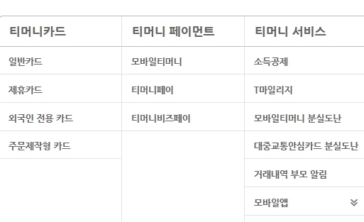 티머니카드 분실 신고 환불 사용내역 조회 티머니교통카드