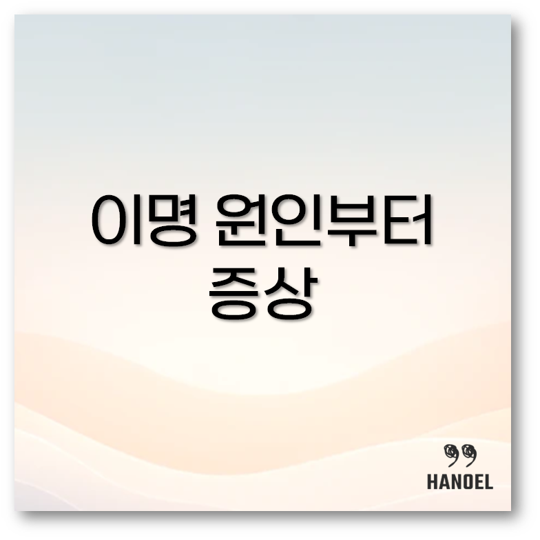 이명 원인