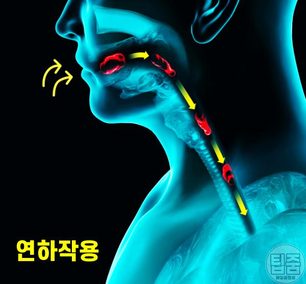 영양제 먹는 방법 빨대 삼킴장애,유통기한 지난 영양제 언제까지 먹어도 되나요?,팁줌